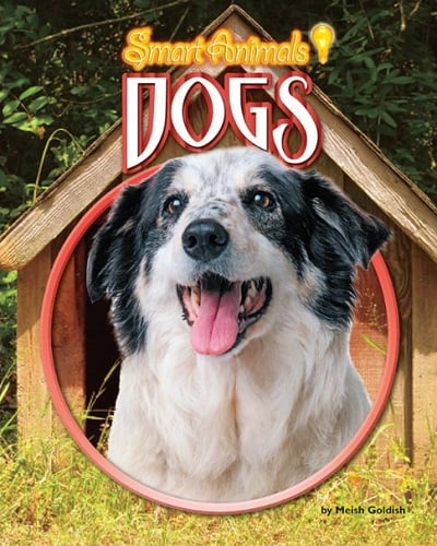 Dogs (Smart Animals)