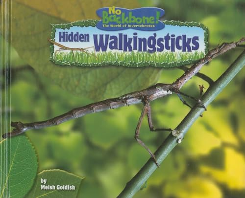Hidden Walkingsticks (No Backbone! The World of Invertebrates)