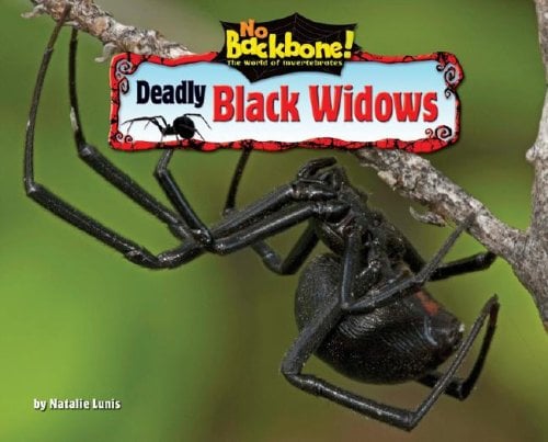 Deadly Black Widows (No Backbone! The World of Invertebrates)