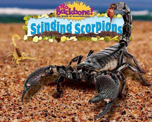 Stinging Scorpions (No Backbone! The World of Invertebrates)