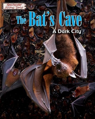 The Bat's Cave: A Dark City (Spectacular Animal Towns)
