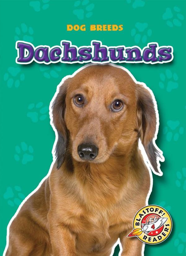 Dachshunds (Dog Breeds, Blastoff! Readers, Level 4)
