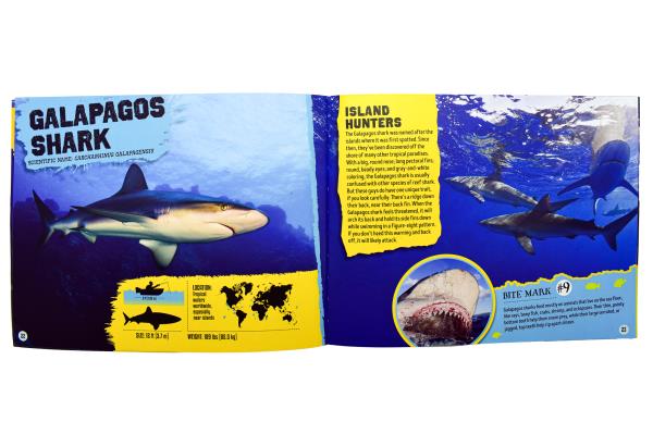 Sea Creatures (Sink Your 