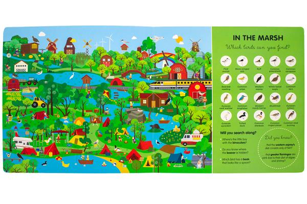 The Big Bird Search Book 