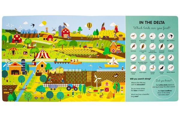 The Big Bird Search Book 