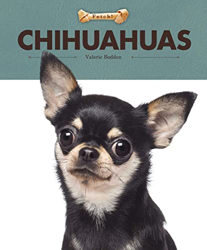 Chihuahuas (Fetch!)