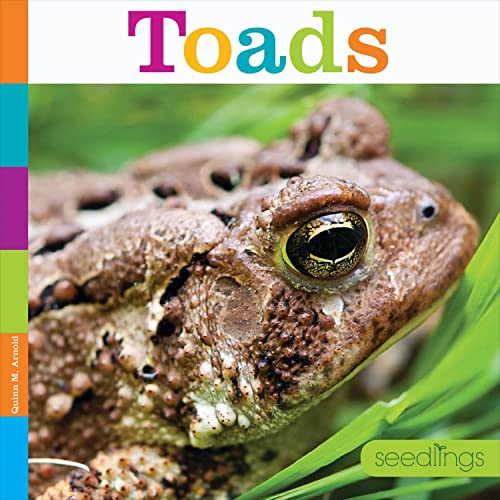 Toads (Seedlings)