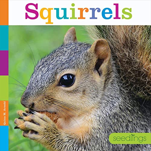 Squirrels (Seedlings)