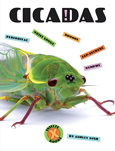 Cicadas (X-Books: Insects)