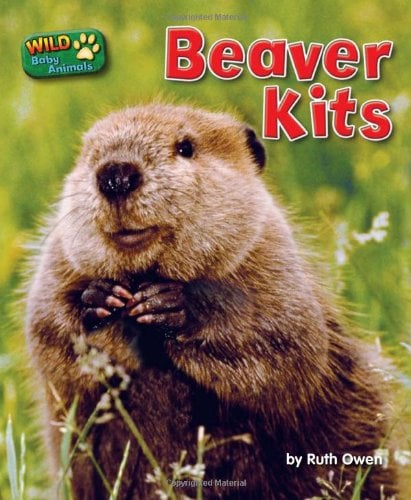 Beaver Kits (Wild Baby Animals)