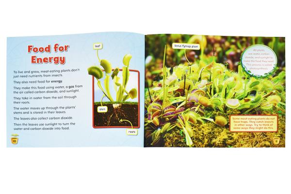 Meat-Eating Plants Toothl