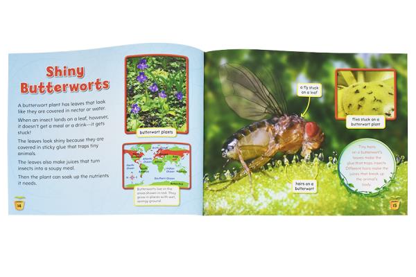Meat-Eating Plants Toothl