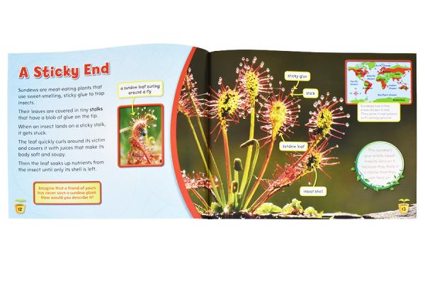 Meat-Eating Plants Toothl