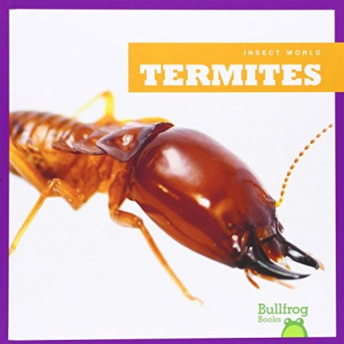 Termites (Insect World)