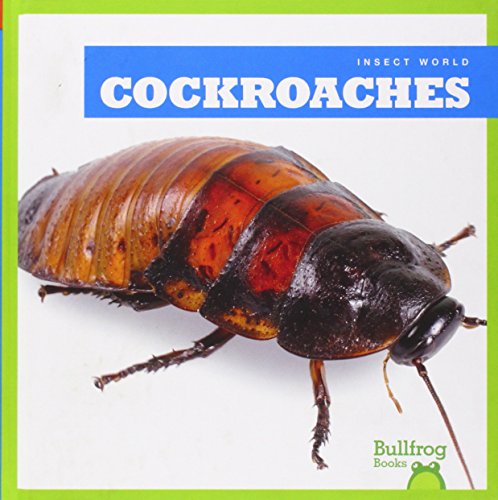 Cockroaches (Insect World)