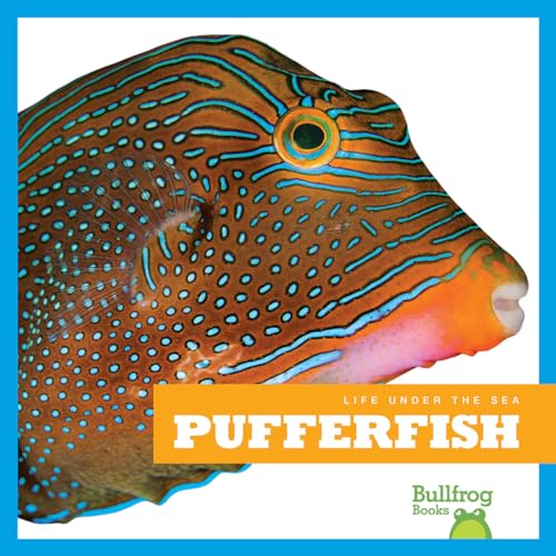 Pufferfish (Life Under the Sea)
