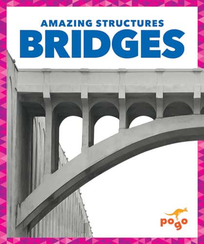 Bridges (Amazing Structures)
