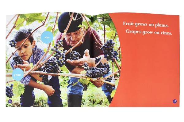 Fruits (Bullfrog Books, H