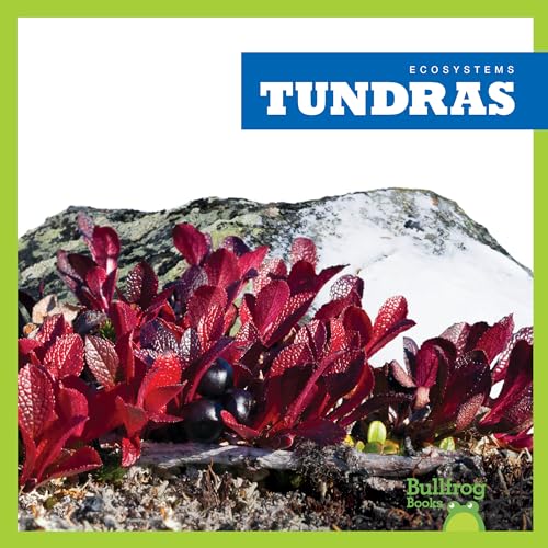 Tundras (Ecosystems)