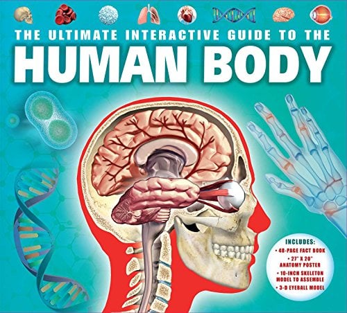 The Ultimate Interactive Guide to the Human Body
