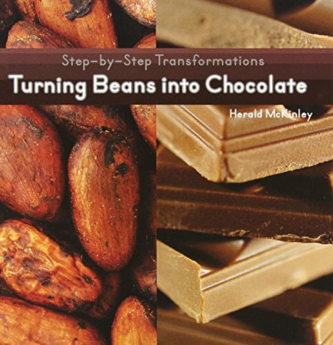 Turning Beans Into Chocolate (Step-By-Step Transformations)