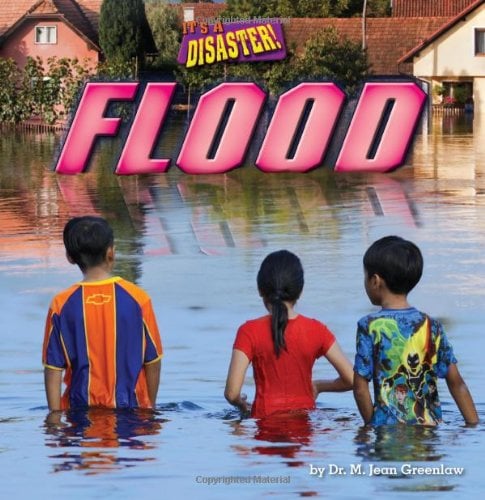 Flood (It's a Disaster, Little Bits! Readers)
