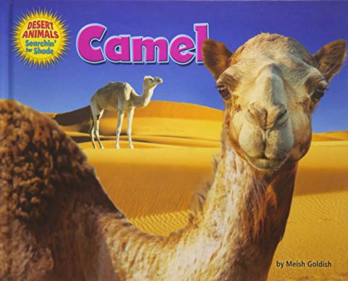 Camel (Desert Animals Searchin' for Shade)