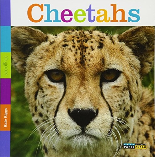 Cheetahs (Seedlings)