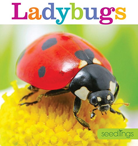 Ladybugs (Seedlings)