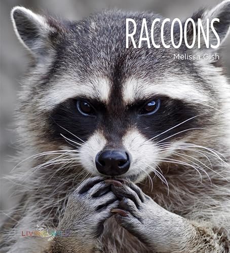 Raccoons (Living Wild)