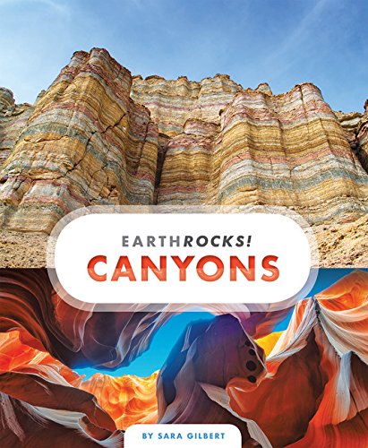 Canyons (Earth Rocks!)