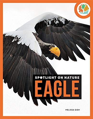 Eagle (Spotlight on Nature)