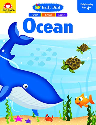 Ocean (Early Bird)