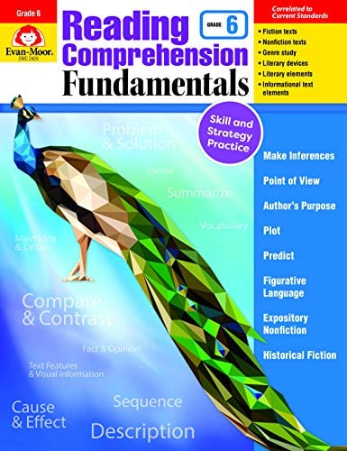Reading Comprehension Fundamentals (Grade 6)