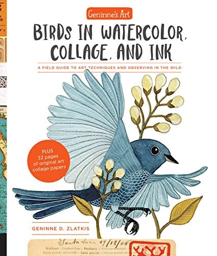 Birds in Watercolor, Collage, and Ink (Geninne's Art)