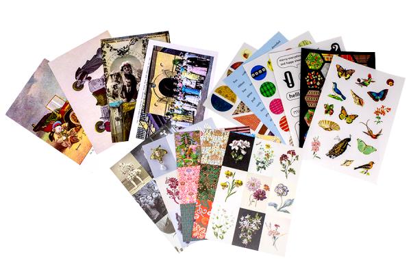 The Vintage Postcard Coll