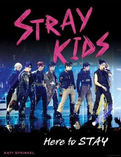 Here to Stay (Stray Kids)
