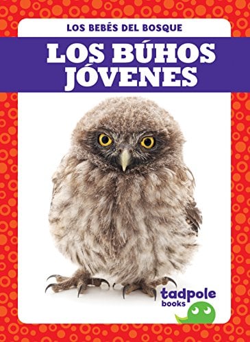Los Búhos Jóvenes (Los Bebés del Bosque)