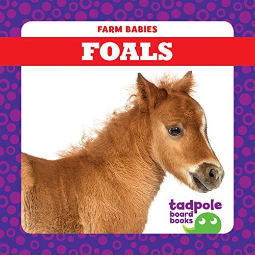 Foals (Farm Babies)