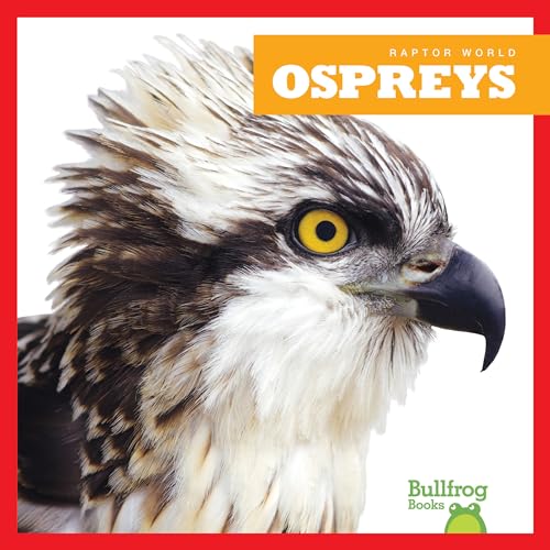 Ospreys (Raptor World)