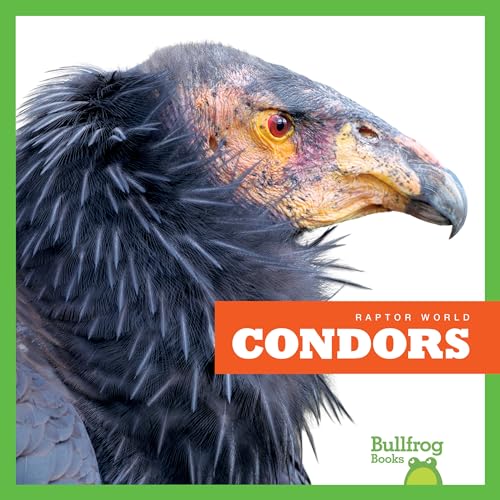 Condors (Raptor World)