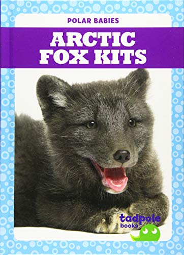Arctic Fox Kits (Polar Babies)