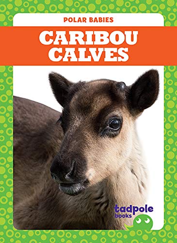 Caribou Calves (Polar Babies)