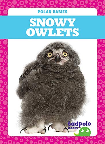 Snowy Owlets (Polar Babies)