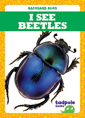 I See Beetles (Backyard Bugs)