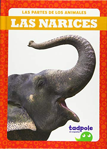 Las Narices (Partes de los Animales)