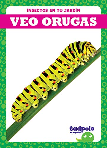 Veo Orugas (Insectos en Tu Jardin)