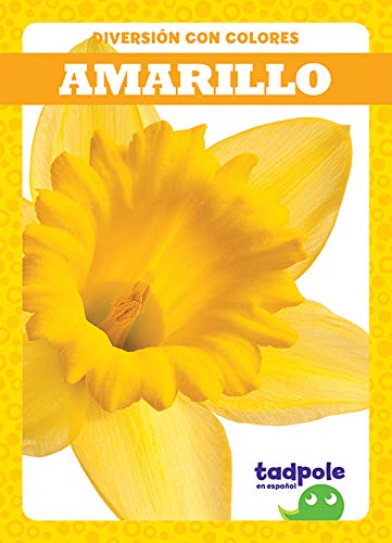 Amarillo (Diversion Con Colores)