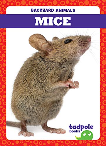 Mice (Backyard Animals)