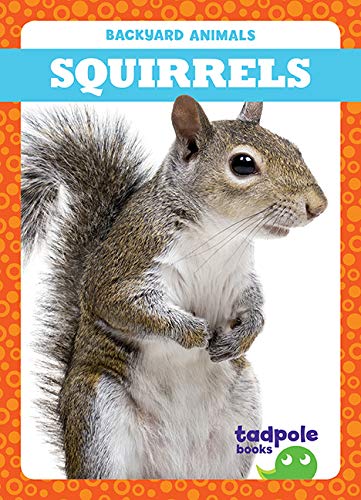 Squirrels (Backyard Animals)
